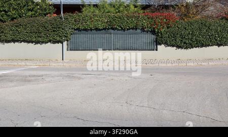 Tubular railing in the middle of gray plaster fence. hedge on top, trees on behind, sidewalk and street in front. Background for copy space. Stock Photo