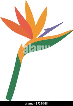 Hand-drawn strelitzia bird of paradise flower vector illustration. Cartoon doodle style. Stock Vector