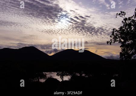 Altocumulus are mid-level clouds comprised mainly of water droplets and a few ice crystals. Neatly arrayed in lines they are call undulatus formations Stock Photo