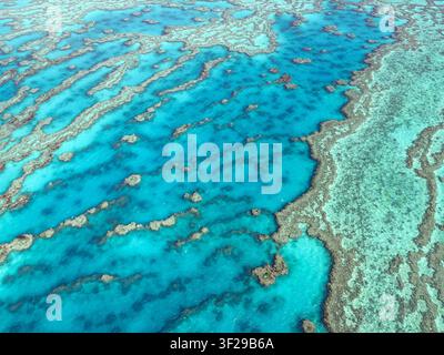 Aerial view of the sandy beach at Airlie Beach lined with palm trees ...