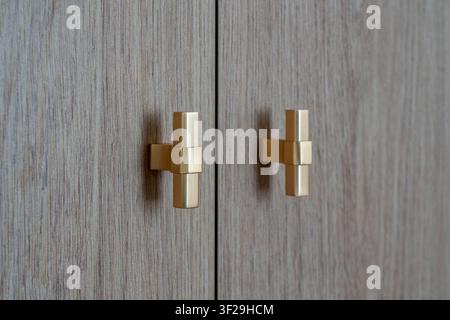 Brass cabinet knobs on wooden furniture door, close up of modern gold hardware detail for interior design Stock Photo