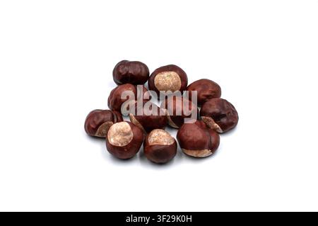 Heap of ripe brown chestnuts isolated on white background Stock Photo