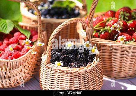Different ripe berries and chamomile flowers in wicker baskets on outdoors, closeup Stock Photo