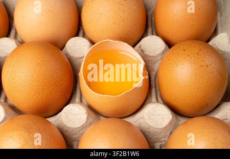 Whole Chicken Eggs and One Broken Closeup, Broken Egg in Carton Pack, Brown Hen Eggs Container, Fresh Organic Food Stock Photo