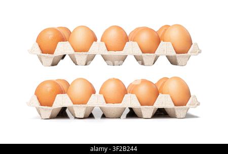 Egg Tray Isolated, Twenty Brown Eggs Pack, 20 Fresh Organic Eggs in Container on White Background Stock Photo