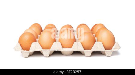 Open egg box with ten brown eggs isolated. Fresh organic chicken eggs in carton pack, egg container with copy space side view on white background Stock Photo