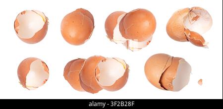 Broken Egg Shell Isolated, Crushed Eggshell, Calcium Supplement, Cracked Eggshells, Natural Compost Ingredient, Broken Egg Shells on White Background Stock Photo