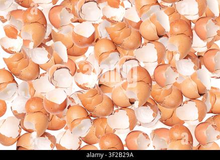 Broken Egg Shell Pattern, Crushed Eggshell, Calcium Supplement wallpaper, Cracked Eggshells, Natural Compost Ingredient, Broken Egg Shells Background Stock Photo