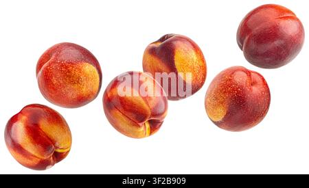 Falling nectarines isolated on white background Stock Photo