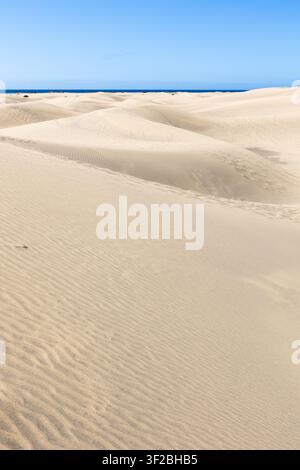 Layered sand dunes create a diagonal composition at the Maspalomas Dunes nature reserve on Gran Canaria, Canary Islands, beneath a clear blue sky. Stock Photo