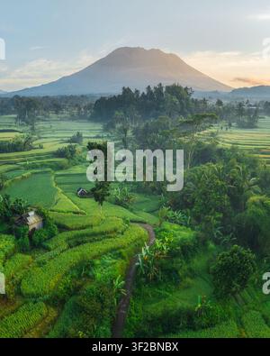 Aerial view of lush green rice terraces surrounding a small hut with Mount Agung in the background under soft morning light in Amlapura, Bali, Indones Stock Photo