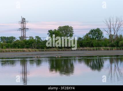 A serene landscape view of a calm lake or pond during the golden hour or dusk. The water surface perfectly reflects the surrounding trees and the soft Stock Photo
