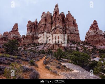 Rugged red rock formations rise dramatically against a soft sky. Winding dirt path invites exploration through sparse desert flora. Purple wildflowers Stock Photo