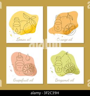 Citrus Essential Oils Collection Line Art for Aromatherapy and Natural Wellness Stock Vector