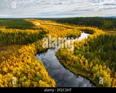 Aerial view of the winding Perilajarvi river surrounded by vibrant yellow autumn birch trees and dark green pine forests in Enontekio, Lappi, Finland. Stock Photo