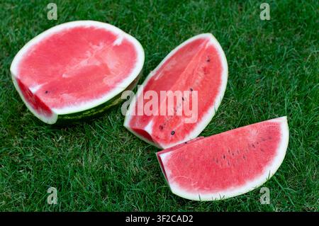 Top view of a ripe watermelon cut into one half and two quarter pieces on green grass. Bright red juicy flesh photographed outdoors in natural dayligh Stock Photo