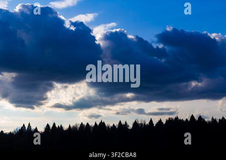 Dramatic dark thunderous clouds hanging heavy over a dense forest silhouette during a bright afternoon with a vivid blue sky, capturing the raw power Stock Photo