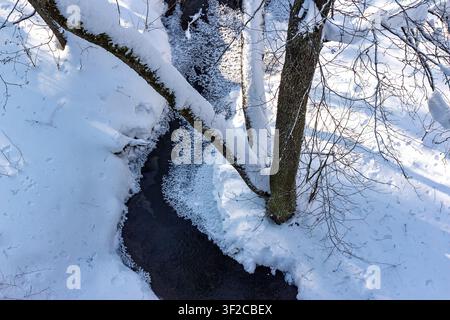 Aerial winter view of a small dark stream cutting through bright snow banks with icy edges and snow-covered tree branches Stock Photo