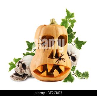 Carved scary halloween face with black spiders on Butternut squash with sculls and green twigs of ivy for holiday on white background Stock Photo