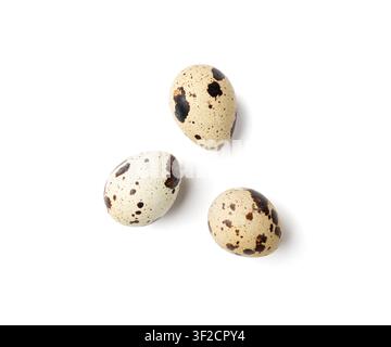 Quail Eggs Isolated, Diet Egg, Healthy Breakfast, Natural Organic Nutrition, Salad Ingredient Spotted Quail Egg on White Background Stock Photo