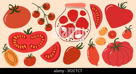 Fresh Tomato Harvest Set with Pickled Tomatoes in Glass Jar Stock Vector