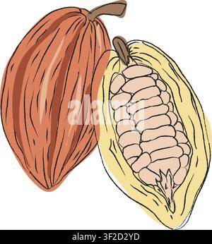 Realistic cocoa beans illustrations, Clean vector set ideal for packaging, label and and product design, Vector illustration of cocoa beans slices set Stock Vector