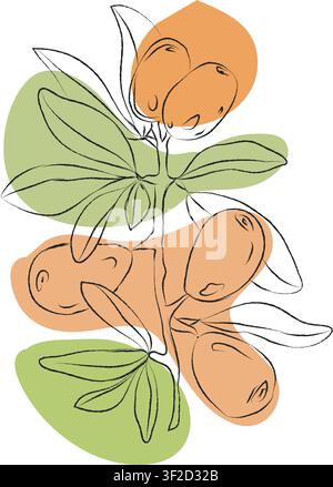 Hand-drawn sketch of an argan branch, argan branch outline vector illustration, argan vector color illustration, background, sketch banner, icon Stock Vector
