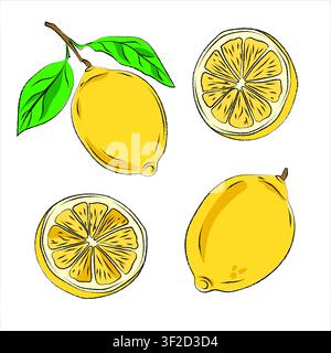 Collection of Realistic green and yellow lemon illustrations set, Clean vector set ideal for packaging, label and and product design, Vector design Stock Vector