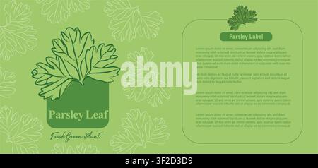 Parsley leaves label design, Modern Fruit Labels with Hand-Drawn Style, Packaging with Fruit Icons and Text, Minimal and Colorful label, label design Stock Vector
