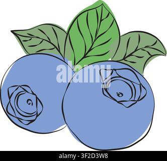 Collection of Realistic blueberries illustrations, Clean vector set ideal for packaging, label and and product design, Vector illustration of blueberr Stock Vector