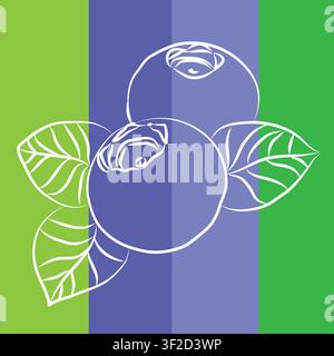 fruit Label design, A Stylized collection of flat vector elements in green and blue colors, outline drawing for blueberries, design, blueberry Stock Vector