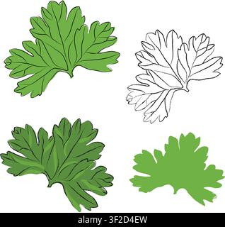 Collection of Doodle hand-drawn icon set, outline drawing of parsley leaves, outline drawing of parsley leaves, vector design set, Hand-painting Stock Vector