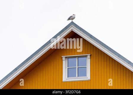 House in Svolvaer - Norway Stock Photo