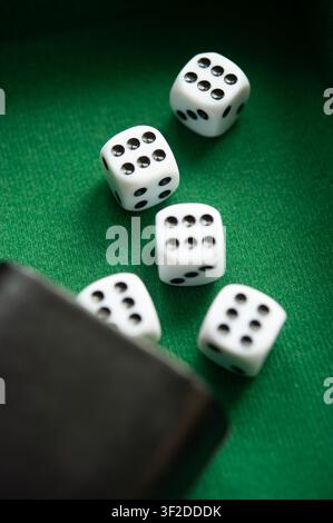 Five white dice rolling from a black cup across a green felt gaming table, close-up with selective focus Stock Photo