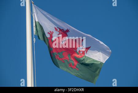 Welsh flag flying Stock Photo