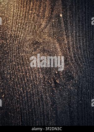 This image presents a dark, rough texture illuminated by a golden light from the top left, creating a dramatic abstract background Stock Photo