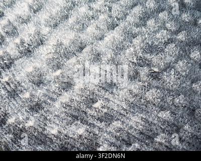 The image displays a detailed view of countless sharp, white ice crystals covering a dark surface Stock Photo