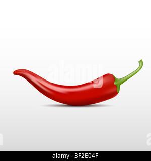 Realistic Chili Pepper, Vector Illustration on Isolated White Background, Vector Illustration Stock Vector
