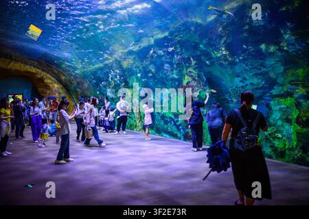 Visitors walk through a large aquarium tunnel filled with fish in Zhuhai, China in Zhuhai, Guangdong, China. Stock Photo