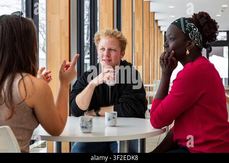 Multiethnic college students chat during a coffee break at a bright campus cafe, sharing ideas at a table by large windows, relaxed and engaged in con Stock Photo