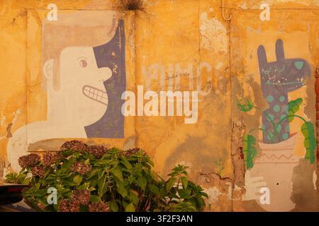 Street art mural on old wall with green plants Stock Photo