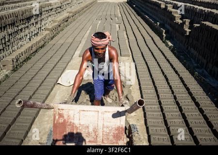 Feni, Bangladesh - 19 November 2024: View of a worker pushing a wheelbarrow through rows of drying mud bricks at a brick factory. Stock Photo