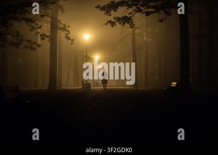 Silhouette of a person walking away down a foggy park path under warm streetlight at night. Stock Photo