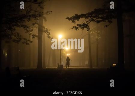 Mysterious lone silhouette standing under a street lamp in a foggy park alley at night. Stock Photo