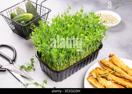 Vibrant green pea shoots in a black container with scissors, cucumbers, and baked snacks, representing healthy eating, organic gardening, and nutritio Stock Photo