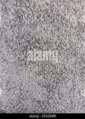 Soft gray loop pile carpet texture background with dense tactile textile fibers Stock Photo