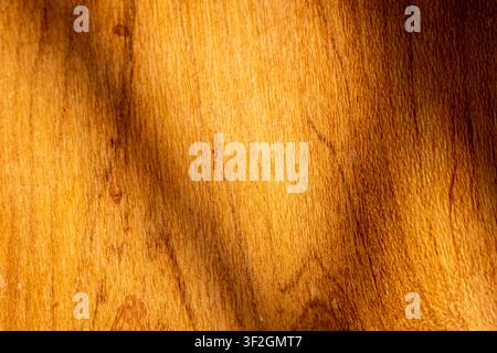 Close-up of natural wood grain with warm brown tones and organic texture. Rustic wooden surface ideal for backgrounds, interior design, architecture Stock Photo