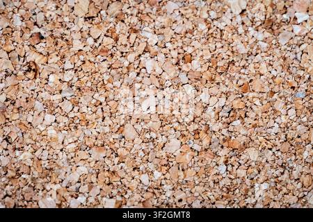 Natural Cork Texture Background in Macro with Detailed Organic Surface Stock Photo