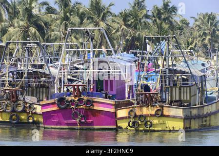 Colourful fishing boats lying close together in a tropical harbor with palm trees in the background, Fort Cochin, Cochin, Kerala, South India, India Stock Photo