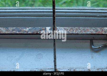 Rusty metal window bars with peeling paint and blurred green foliage in the background, showing texture of age and corrosion Stock Photo
